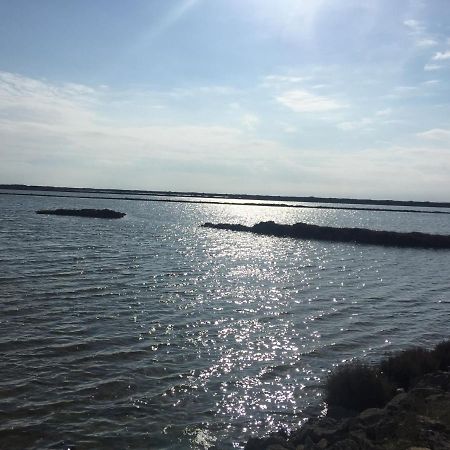 Maison Tout Confort, Bord De Mer Avec Parking Prive Gruissan Exteriör bild