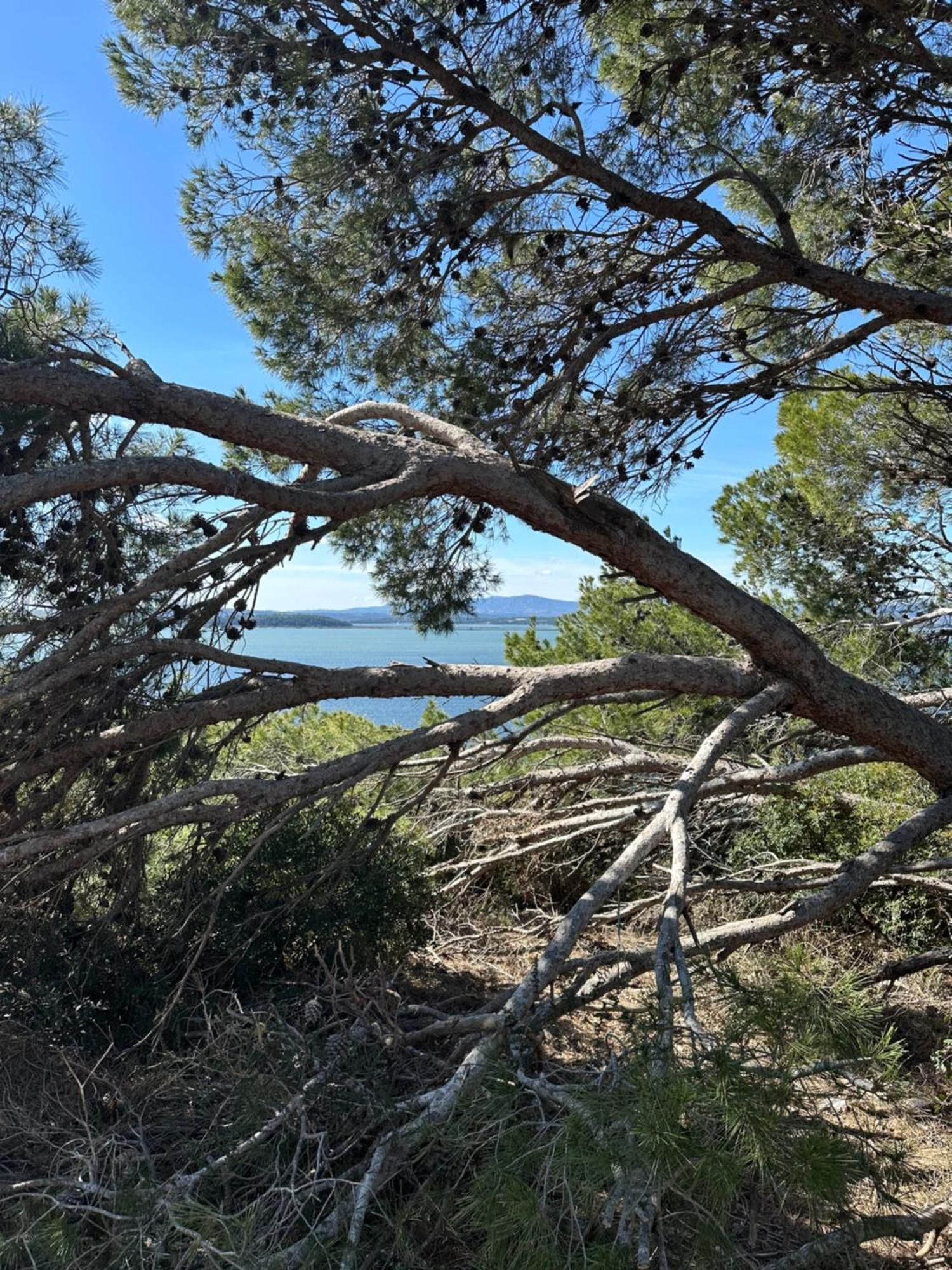 Maison Tout Confort, Bord De Mer Avec Parking Prive Gruissan Exteriör bild