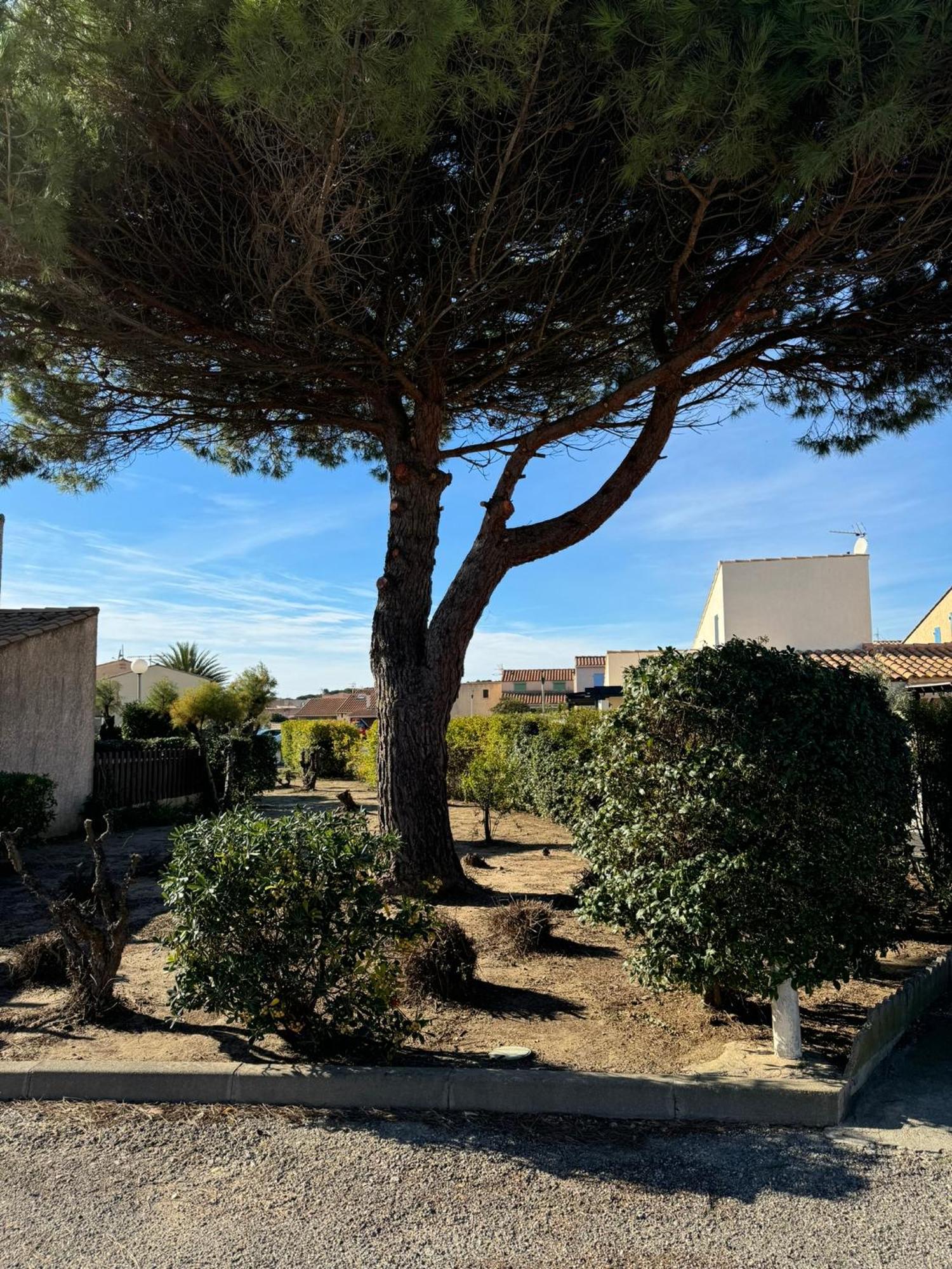 Maison Tout Confort, Bord De Mer Avec Parking Prive Gruissan Exteriör bild